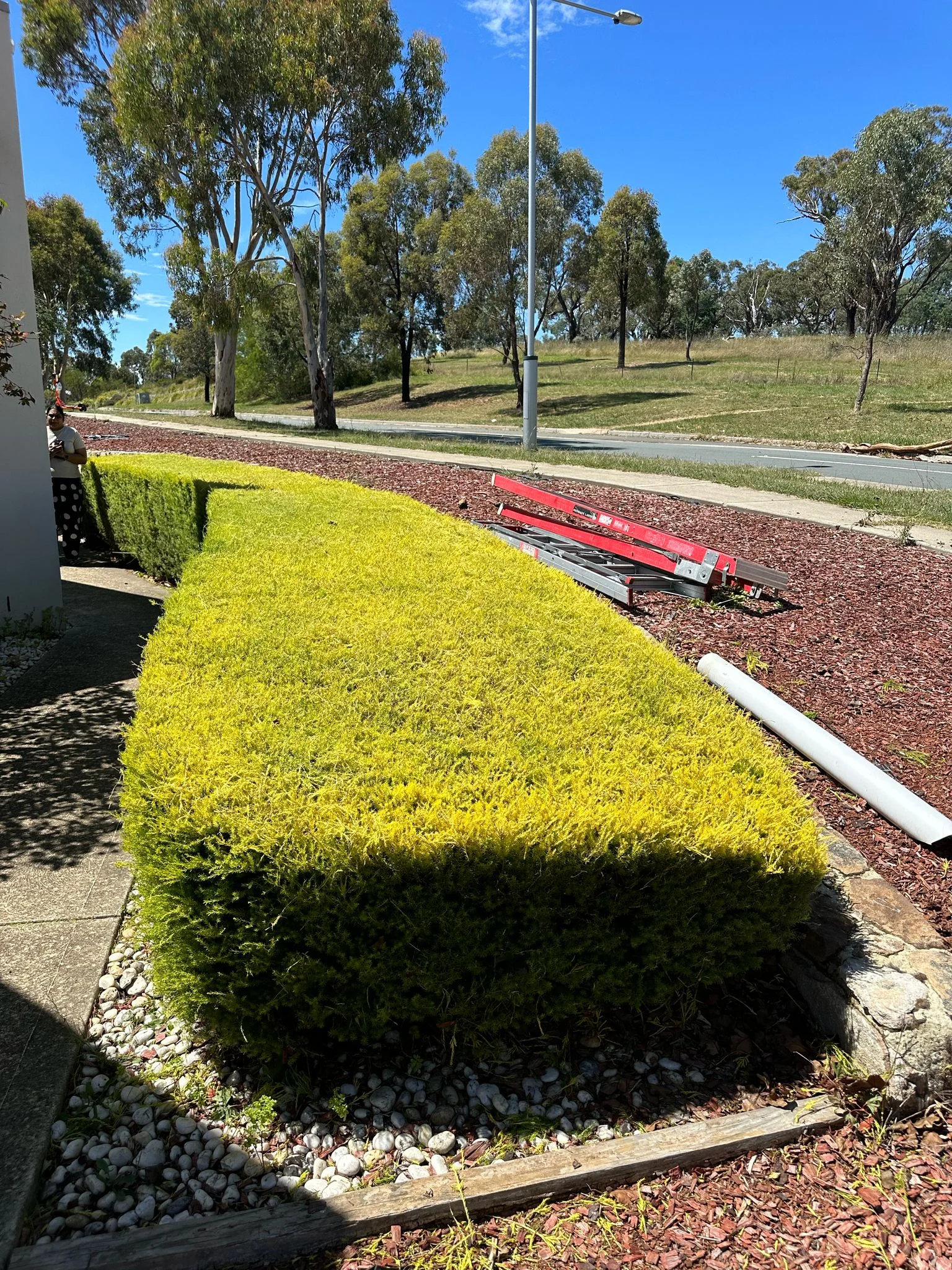 Luxurious outdoor kitchen and dining area